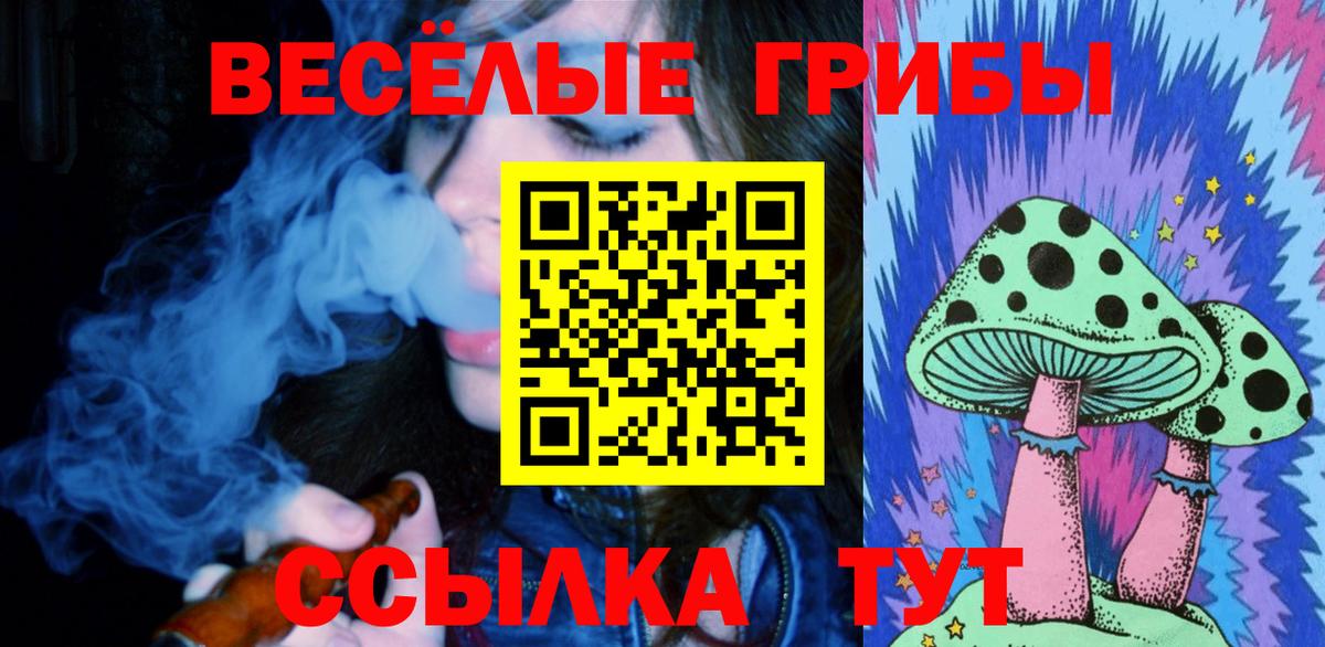 как найти   Вход с VPN  Сосновоборск  Псилоцибиновые грибы Psilocybine cubensis 