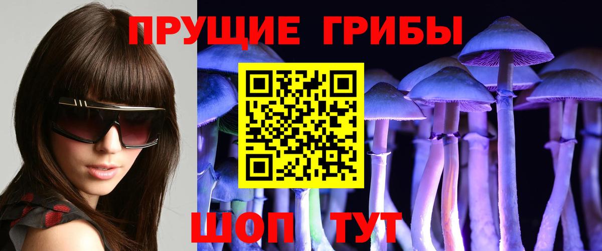 Псилоцибиновые грибы мицелий Сосновоборск